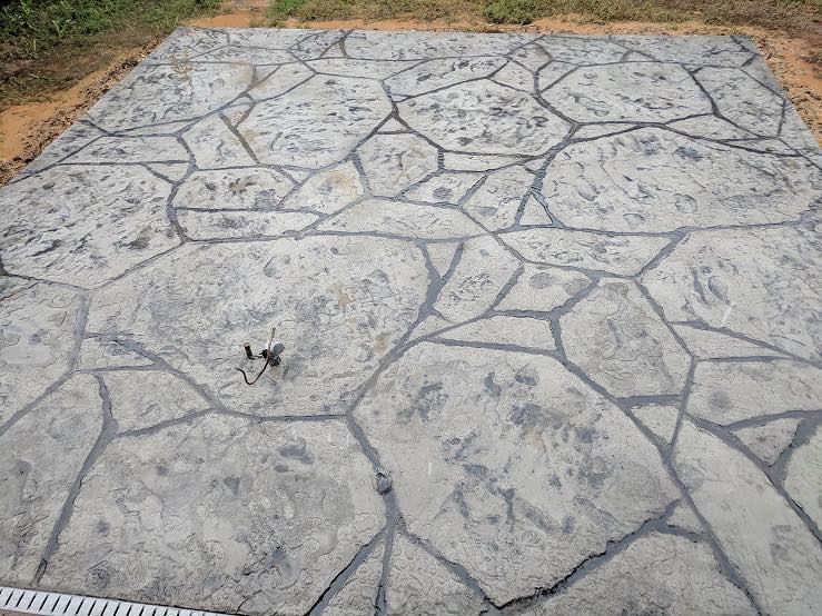 Decretive Concrete 31